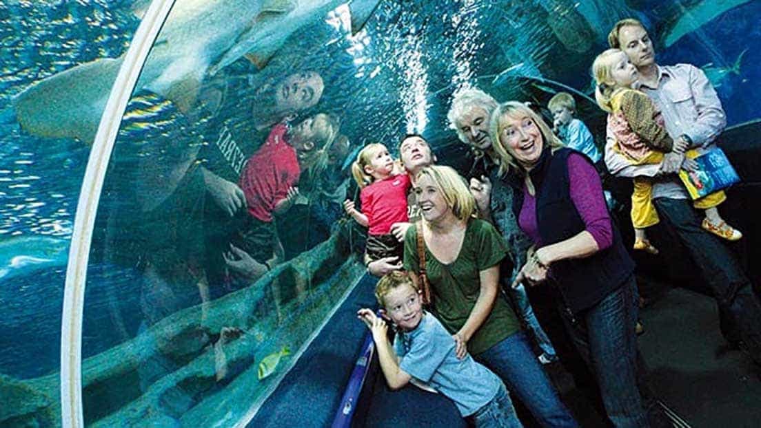 Deep Sea World
